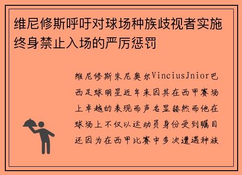 维尼修斯呼吁对球场种族歧视者实施终身禁止入场的严厉惩罚 维尼修斯呼吁对球场种族歧视者实施终身禁止入场的严厉惩罚