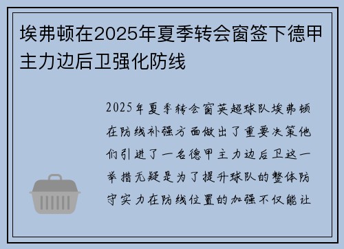 埃弗顿在2025年夏季转会窗签下德甲主力边后卫强化防线